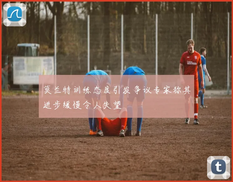 莫兰特训练态度引发争议专家称其进步缓慢令人失望