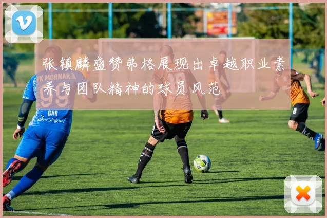 张镇麟盛赞弗格展现出卓越职业素养与团队精神的球员风范